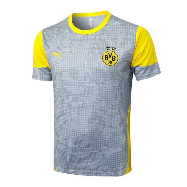 Camiseta Entrenamiento Borussia Dortmund 2026/27 Gris